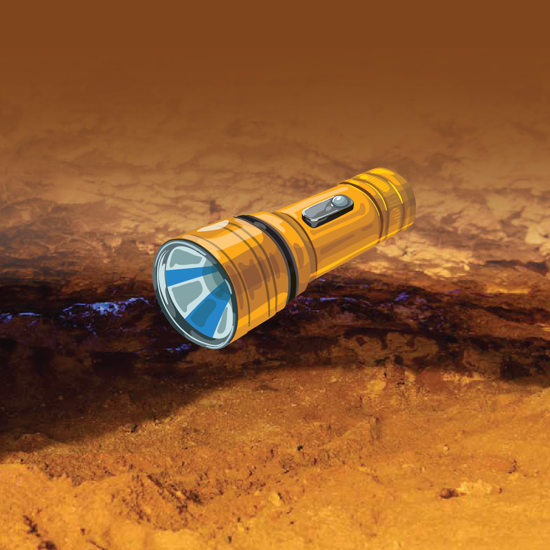 Black Light Torch 10 Watt