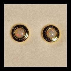 Solid Opal Stud Earrings in Gold Plated Sterling Silver · Style 601